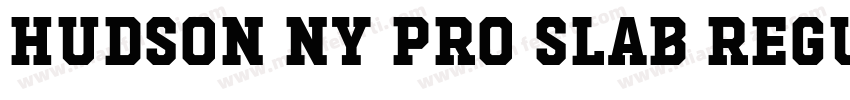 Hudson NY Pro Slab Regular字体转换